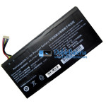 Batería para PDA AEC317599-3S1P 10 Líneas [Batería de Repuesto]